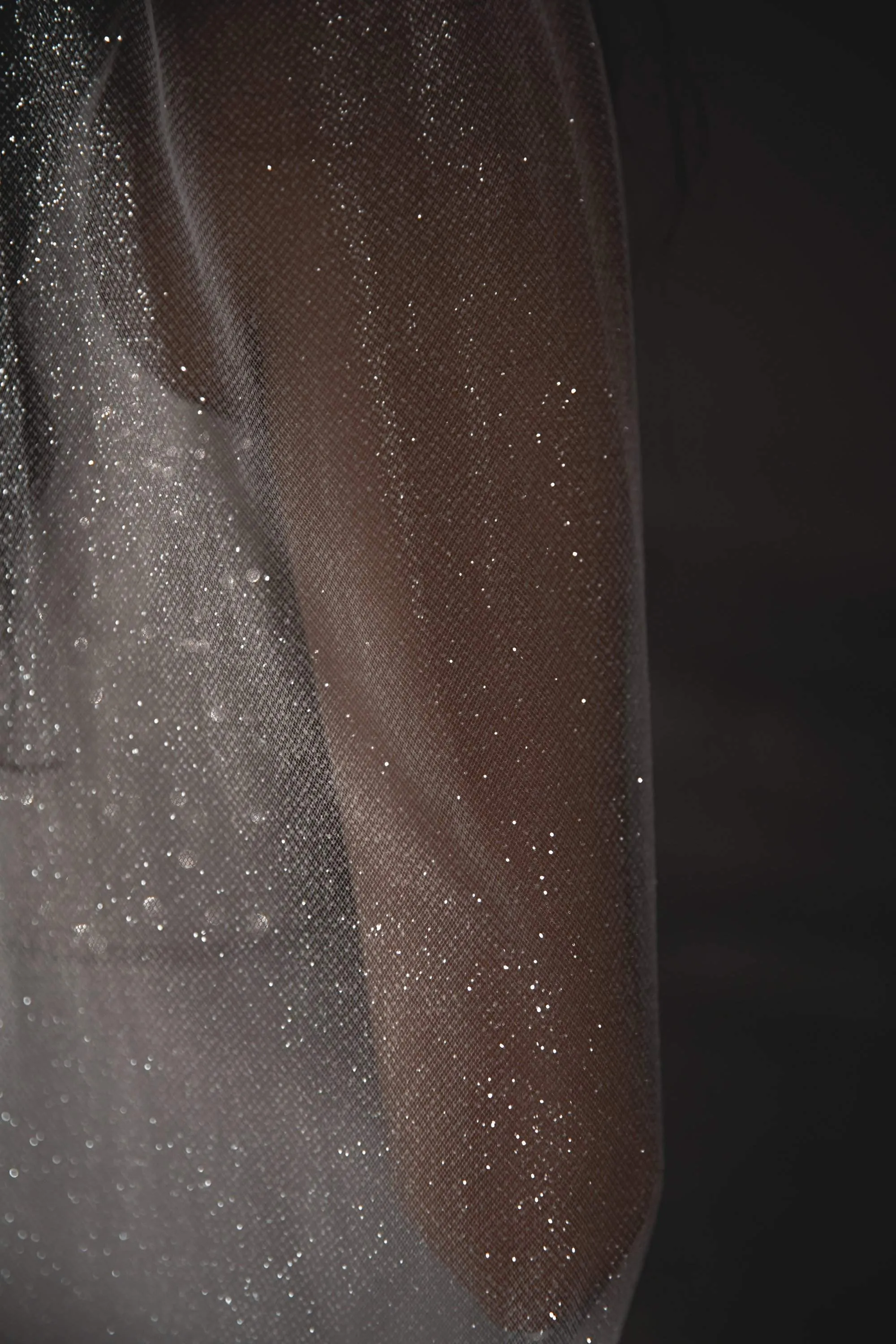 Super Sparkly Wedding Veil