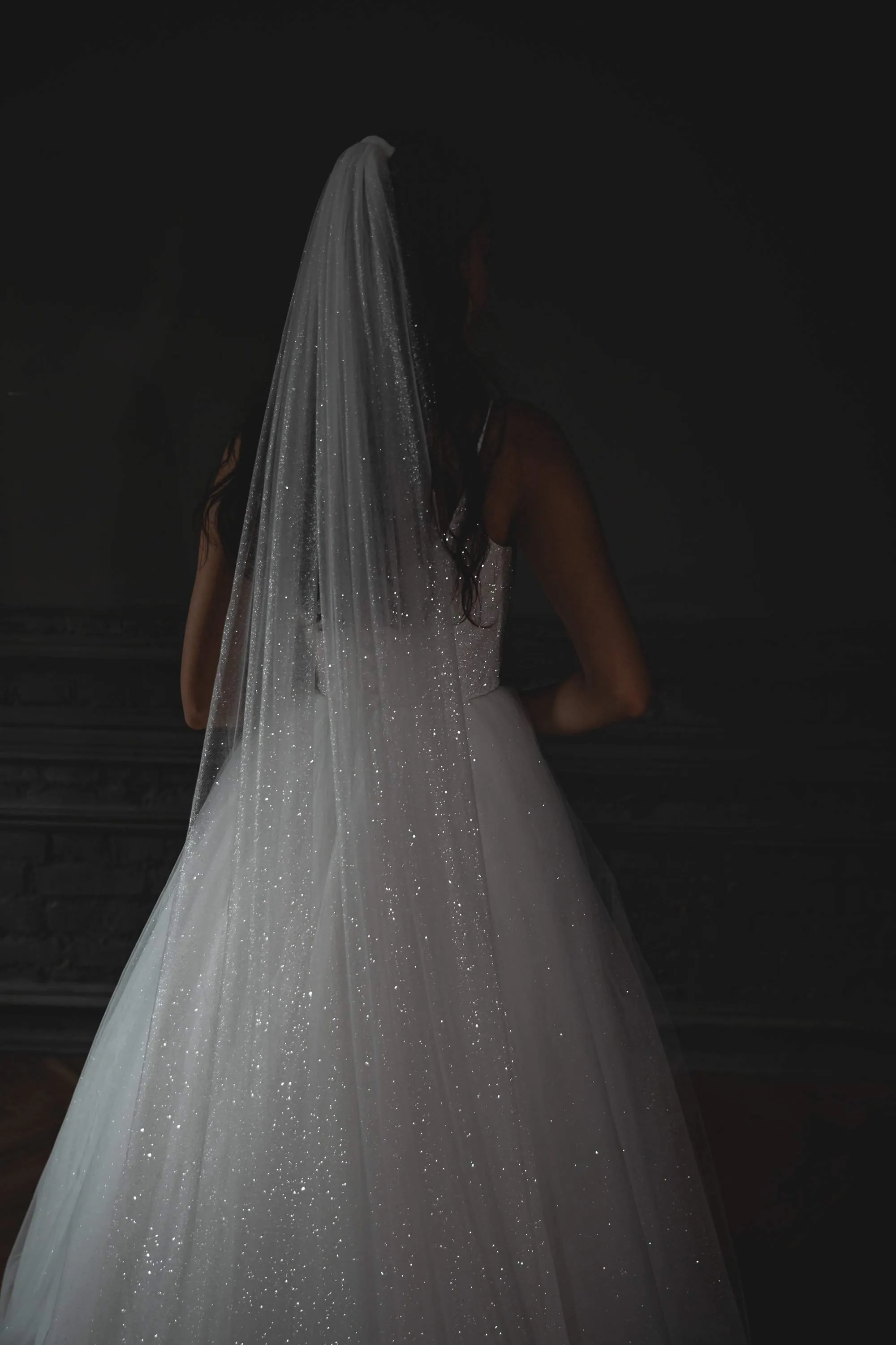 Super Sparkly Wedding Veil